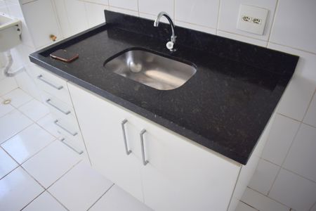 Cozinha - Armários de apartamento para alugar com 2 quartos, 49m² em Campos Elísios, Ribeirão Preto