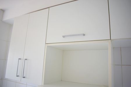 Apartamento para alugar com 49m², 2 quartos e 1 vagaCozinha - Armários