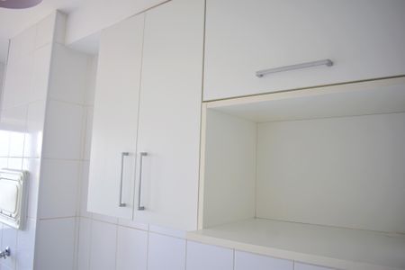 Cozinha - Armários de apartamento para alugar com 2 quartos, 49m² em Campos Elísios, Ribeirão Preto