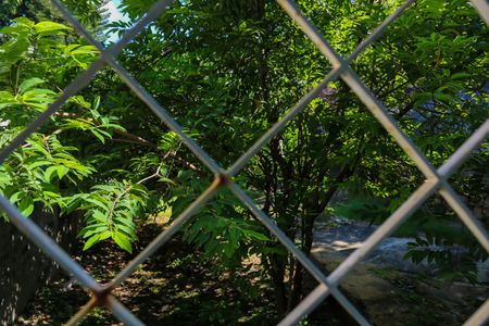Casa à venda com 100m², 2 quartos e sem vagaVista do Quarto 2