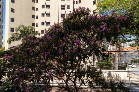 Apartamento à venda com 98m², 2 quartos e 1 vaga Apartamento à venda com 98m², 2 quartos e 1 vagaSala - Vista