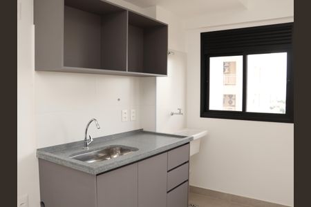 Apartamento para alugar com 60m², 2 quartos e 1 vagaCozinha - Armários