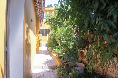 Casa para alugar com 85m², 2 quartos e sem vagaQuintal