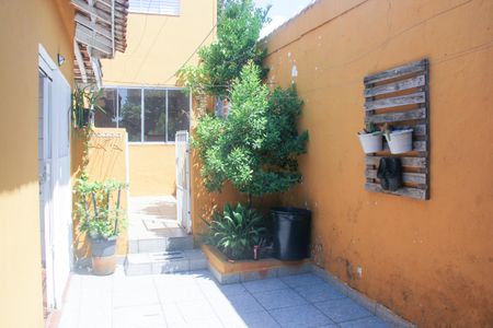 Casa para alugar com 85m², 2 quartos e sem vagaQuintal