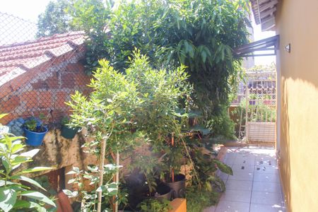 Casa para alugar com 85m², 2 quartos e sem vagaQuintal