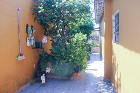 Casa para alugar com 85m², 2 quartos e sem vagaQuintal