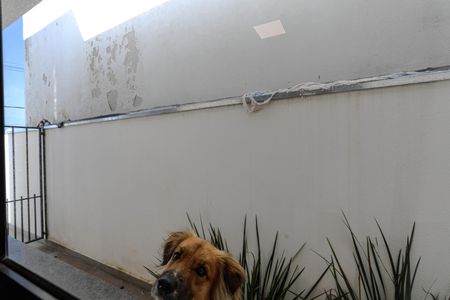 Casa para alugar com 168m², 3 quartos e sem vagaVista - Quarto 1