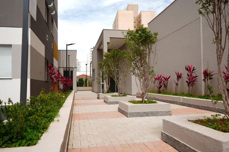 Apartamento para alugar com 40m², 2 quartos e 1 vagaÁrea comum