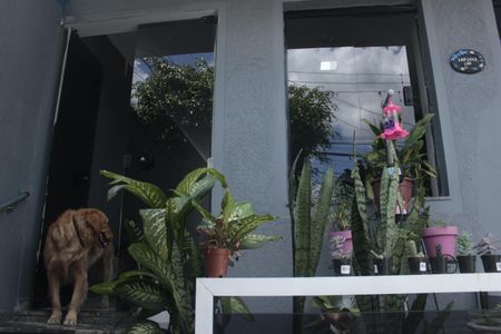 Casa para alugar com 250m², 3 quartos e 8 vagasFachada interna 