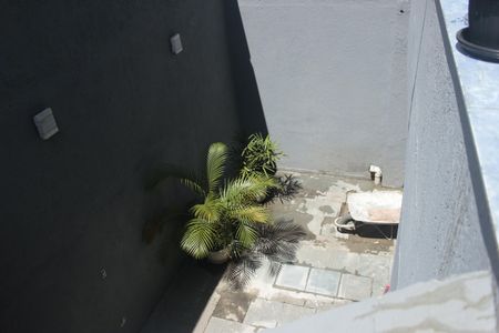 Casa para alugar com 250m², 3 quartos e 8 vagasQuintal 