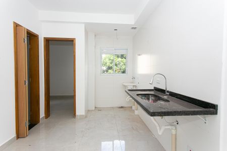 Cozinha de apartamento para alugar com 2 quartos, 55m² em Vila Matilde, São Paulo