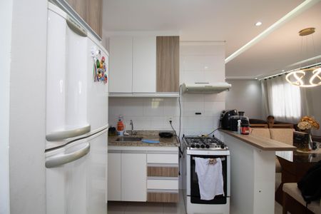 Apartamento para alugar com 65m², 2 quartos e 1 vagaCozinha - Armários