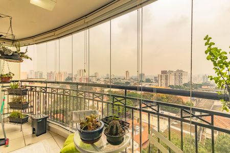 Apartamento à venda com 3 quartos, 104m² em Vila Santa Catarina, São Paulo