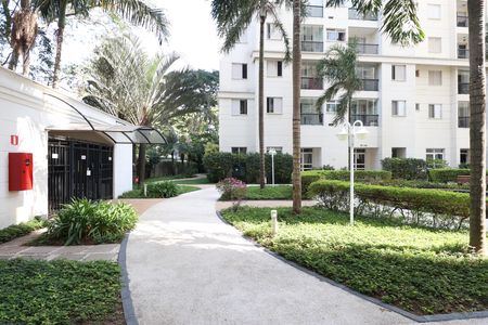 Área comum  de apartamento para alugar com 2 quartos, 51m² em Vila Anastácio, São Paulo