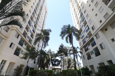 Apartamento para alugar com 51m², 2 quartos e 1 vagaÁrea comum 