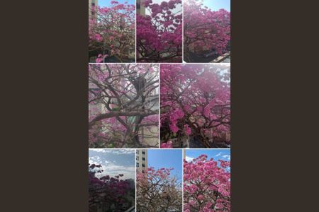 Apartamento à venda com 80m², 2 quartos e 2 vagasFoto 24