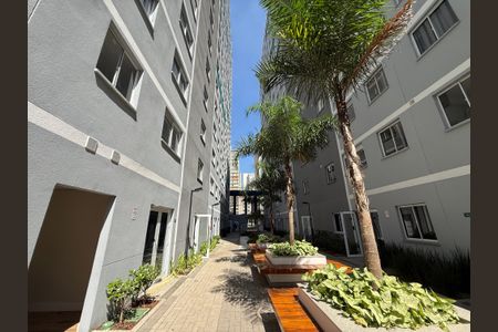 Studio para alugar com 26m², 1 quarto e sem vagaArea verde