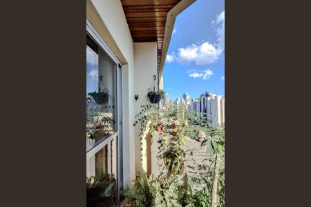 Apartamento para alugar com 118m², 3 quartos e 2 vagas Apartamento para alugar com 118m², 3 quartos e 2 vagasVaranda da Sala
