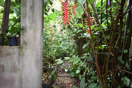 Casa à venda com 250m², 4 quartos e 3 vagasQuintal