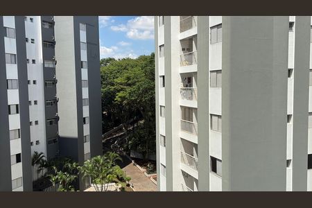 Apartamento para alugar com 60m², 2 quartos e 1 vaga Apartamento para alugar com 60m², 2 quartos e 1 vagaVista do Quarto 2