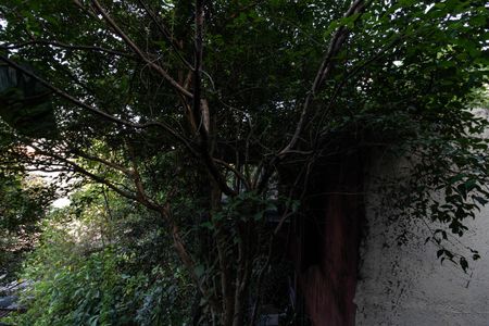 Casa à venda com 300m², 7 quartos e 5 vagasSuíte 2