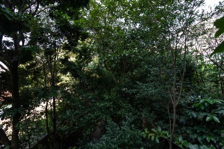Casa à venda com 300m², 7 quartos e 5 vagasVista do Quarto 2