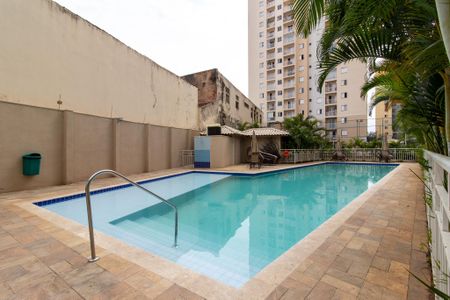 Apartamento para alugar com 70m², 3 quartos e 2 vagasÁrea comum - Piscina