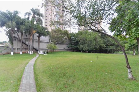 Apartamento à venda com 61m², 2 quartos e 1 vagaBosque Privativo 