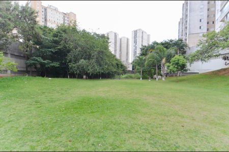 Apartamento à venda com 61m², 2 quartos e 1 vagaBosque Privativo 