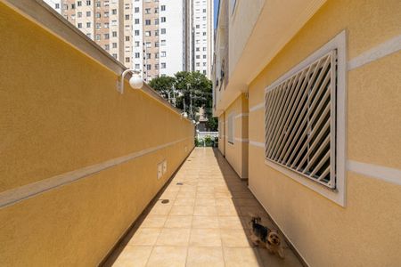 Casa de Condomínio à venda com 3 quartos, 115m² em Cidade Patriarca, São Paulo