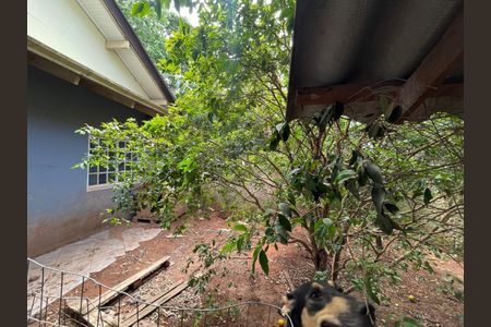 Casa à venda com 214m², 3 quartos e 4 vagas