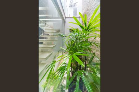 Jardim de inverno de casa à venda com 3 quartos, 226m² em Parque Sao Vicente, Santo André