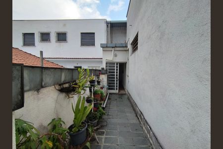 Casa para alugar com 300m², 3 quartos e 6 vagasQuintal 