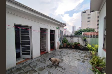 Casa para alugar com 300m², 3 quartos e 6 vagasQuintal 