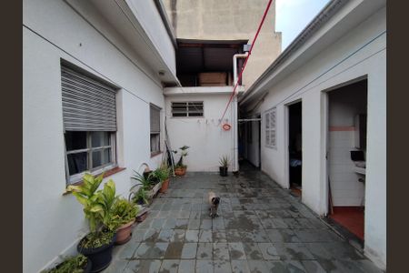 Casa para alugar com 300m², 3 quartos e 6 vagasQuintal 