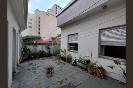 Casa para alugar com 300m², 3 quartos e 6 vagasQuintal 