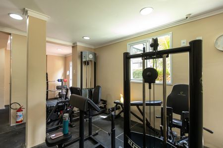 Apartamento para alugar com 76m², 3 quartos e 1 vaga