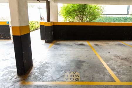 Apartamento para alugar com 76m², 3 quartos e 1 vaga