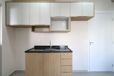 Apartamento para alugar com 46m², 2 quartos e sem vagaCozinha 