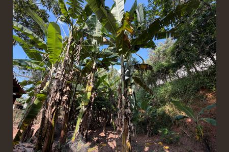 Casa à venda com 2802m², 10 quartos e 7 vagasQuintal - Casa 2