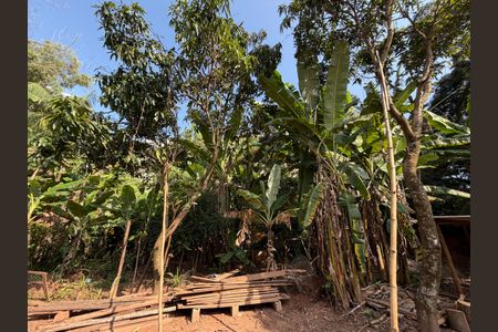 Casa à venda com 2802m², 10 quartos e 7 vagasQuintal - Casa 2