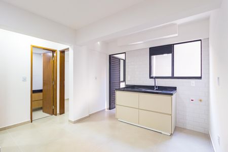 Apartamento para alugar com 42m², 2 quartos e sem vagaCozinha