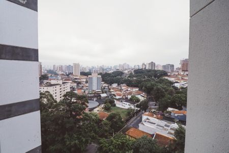 Vista do Quarto 2 de apartamento para alugar com 3 quartos, 72m² em Jardim Sao Paulo(zona Norte), São Paulo