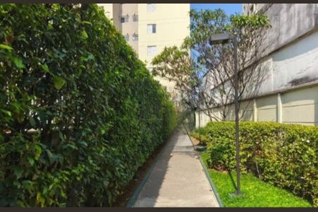 Apartamento à venda com 63m², 3 quartos e 1 vagaFoto 31