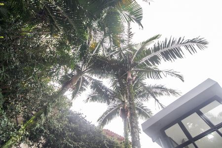 Casa de condomínio à venda com 570m², 3 quartos e 4 vagas Casa de condomínio à venda com 570m², 3 quartos e 4 vagasVista