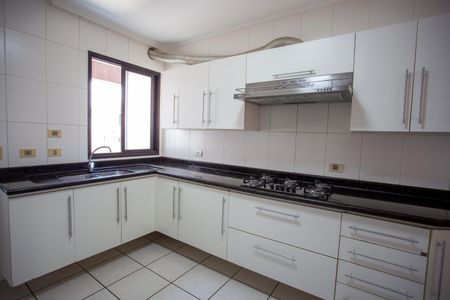 Apartamento para alugar com 260m², 4 quartos e 2 vagas Apartamento para alugar com 260m², 4 quartos e 2 vagasCozinha