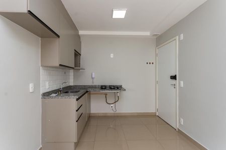 Apartamento para alugar com 47m², 2 quartos e 1 vagaCozinha Americana