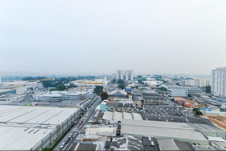 Apartamento para alugar com 47m², 2 quartos e 1 vagaVista do Quarto 1