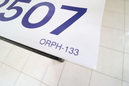 Apartamento para alugar com 60m², 2 quartos e 1 vagaPlaquinha