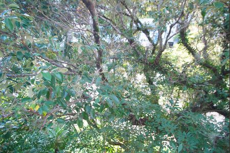 Apartamento para alugar com 74m², 2 quartos e 1 vagaSala - Vista